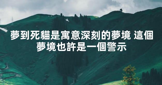 夢到死貓是寓意深刻的夢境 這個夢境也許是一個警示